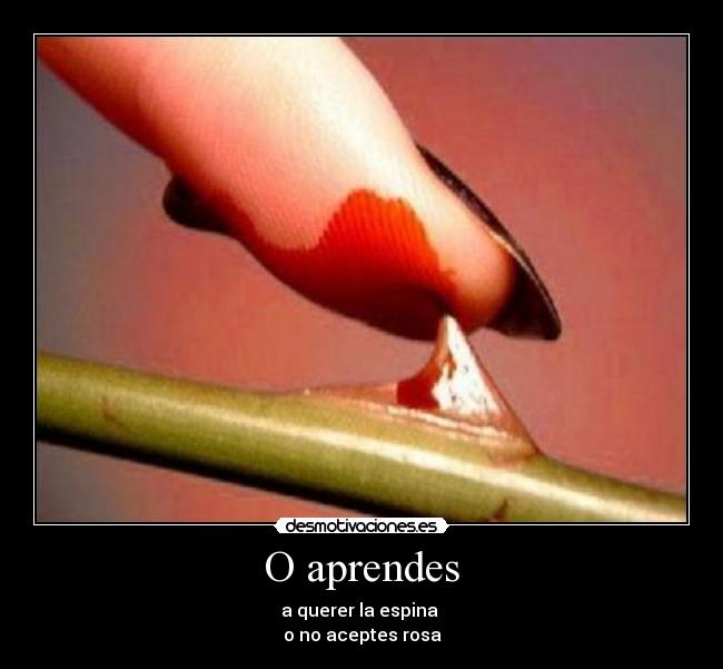 carteles fuiste ricardo arjona desmotivaciones