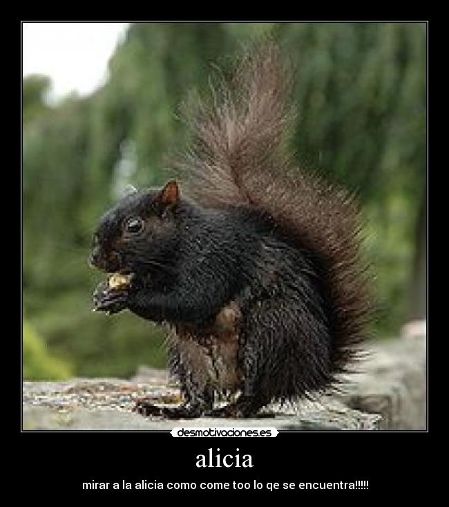 alicia -