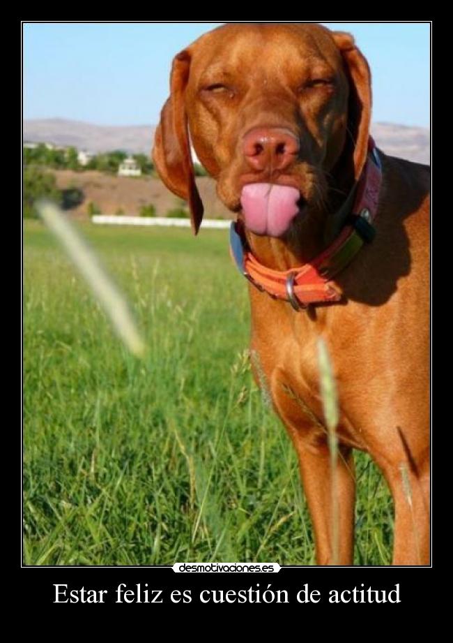 Estar feliz es cuestión de actitud -