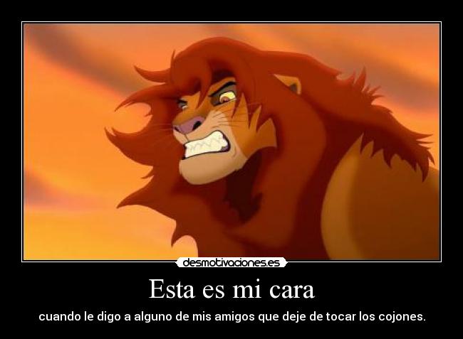 Esta es mi cara - cuando le digo a alguno de mis amigos que deje de tocar los cojones.