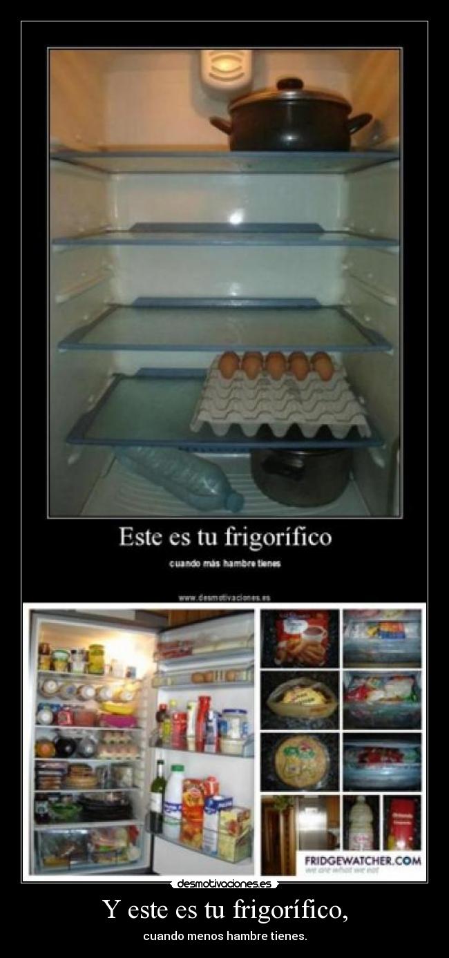 Y este es tu frigorífico, - cuando menos hambre tienes.
