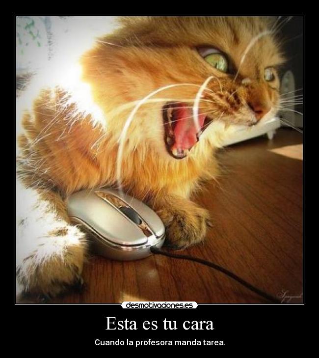 Esta es tu cara - Cuando la profesora manda tarea.