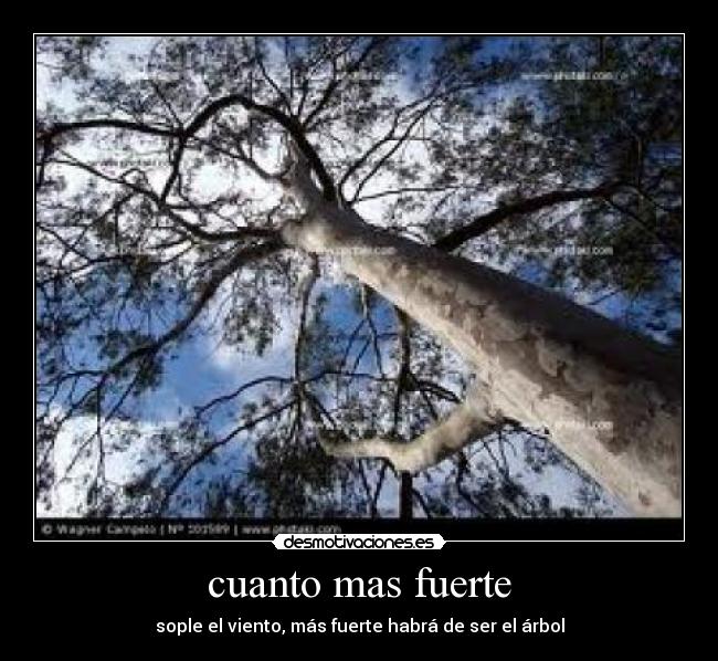 cuanto mas fuerte - 