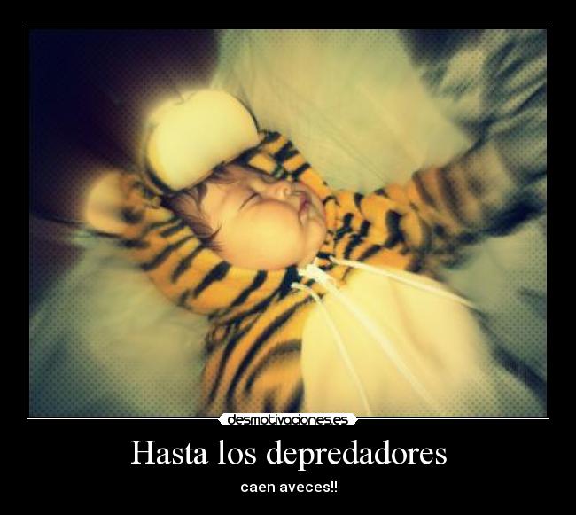 Hasta los depredadores - 
