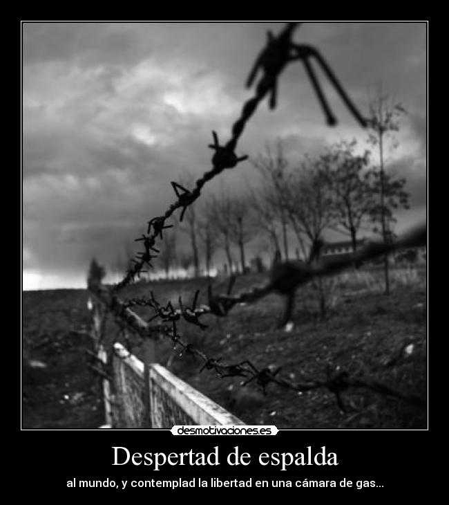 Despertad de espalda - al mundo, y contemplad la libertad en una cámara de gas...