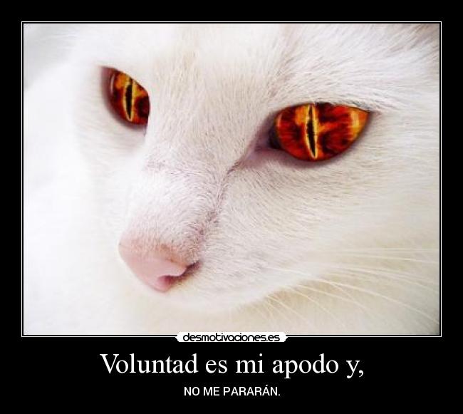 Voluntad es mi apodo y, - NO ME PARARÁN.