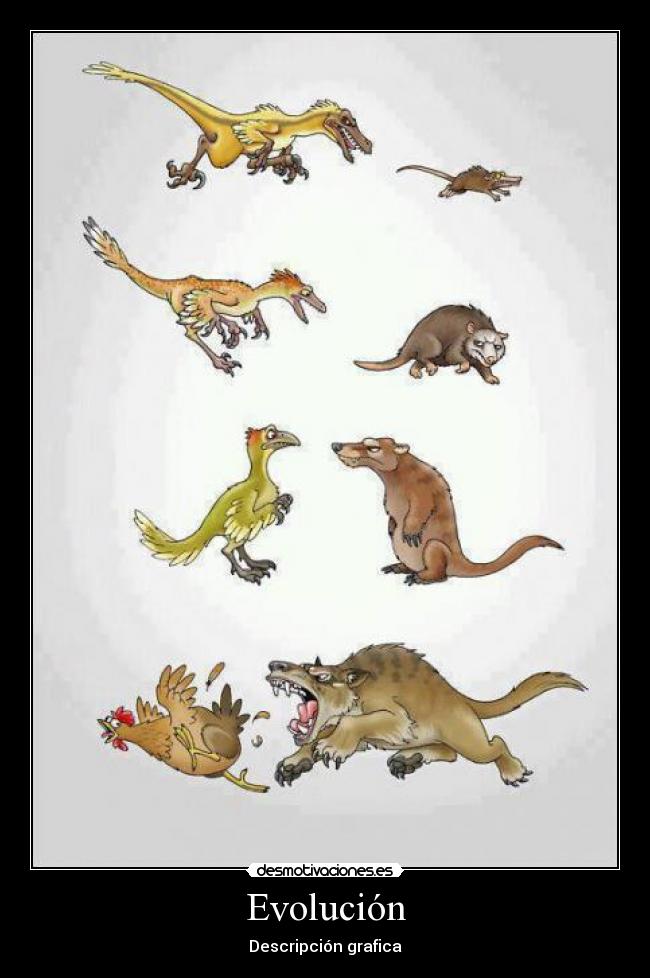 carteles evolucion humor desmotivaciones