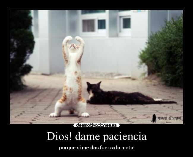 Dios! dame paciencia - 