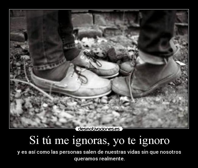 carteles vivivmos ignorancia desmotivaciones