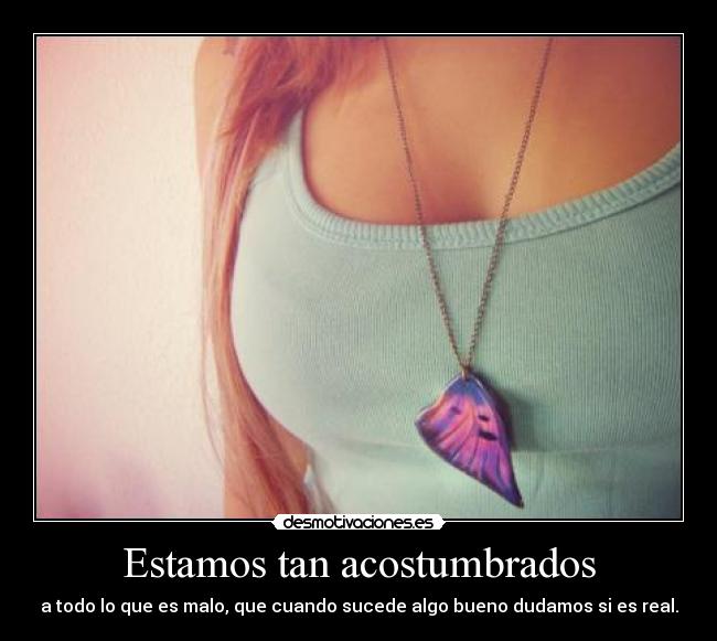 Estamos tan acostumbrados - a todo lo que es malo, que cuando sucede algo bueno dudamos si es real.