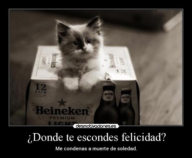 ¿Donde te escondes felicidad? -