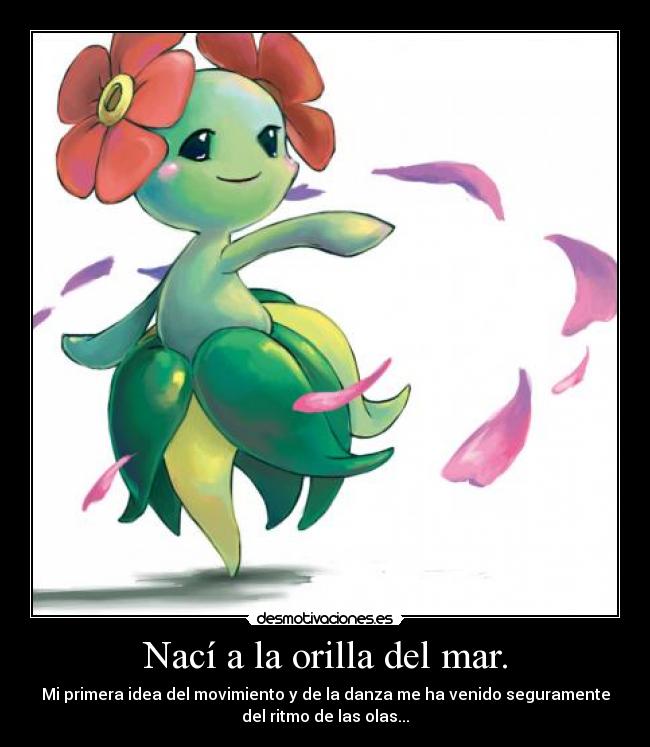 carteles bellossom desmotivaciones