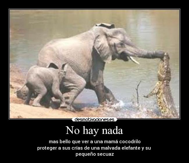 No hay nada - 