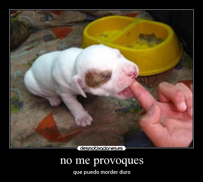 no me provoques - que puedo morder duro
