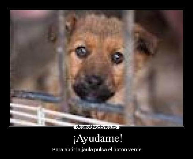 ¡Ayudame! - 