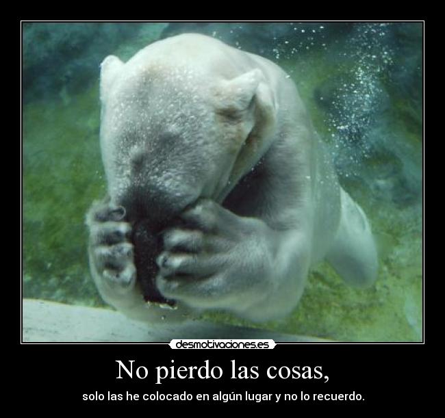 No pierdo las cosas, -