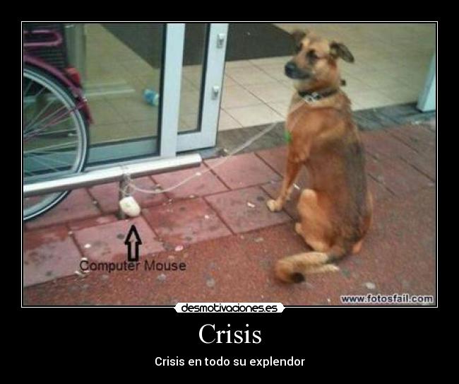 Crisis -