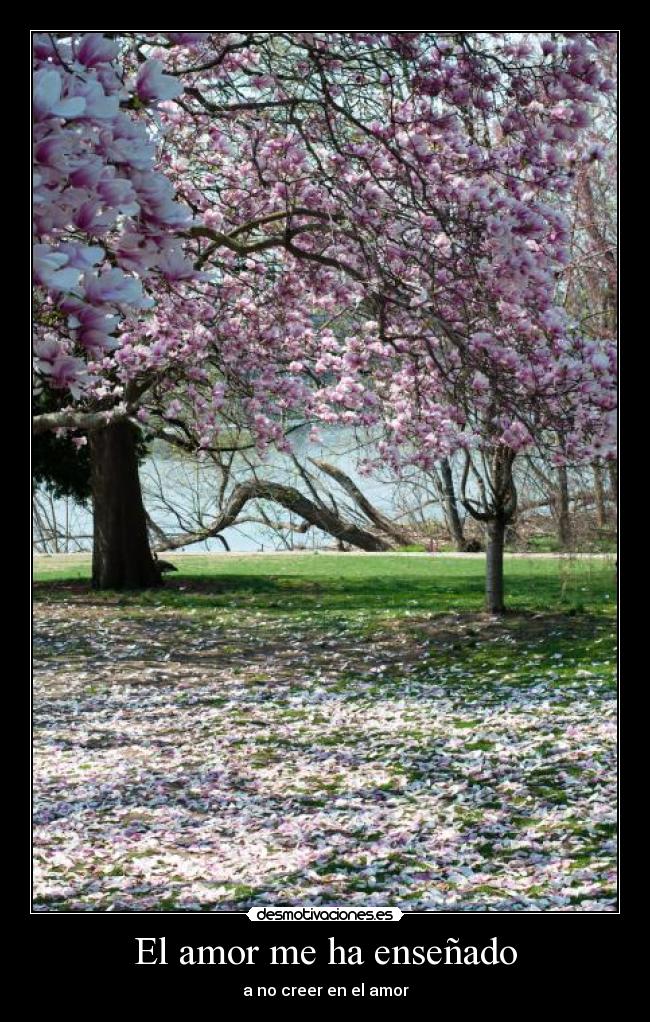 El amor me ha enseñado -