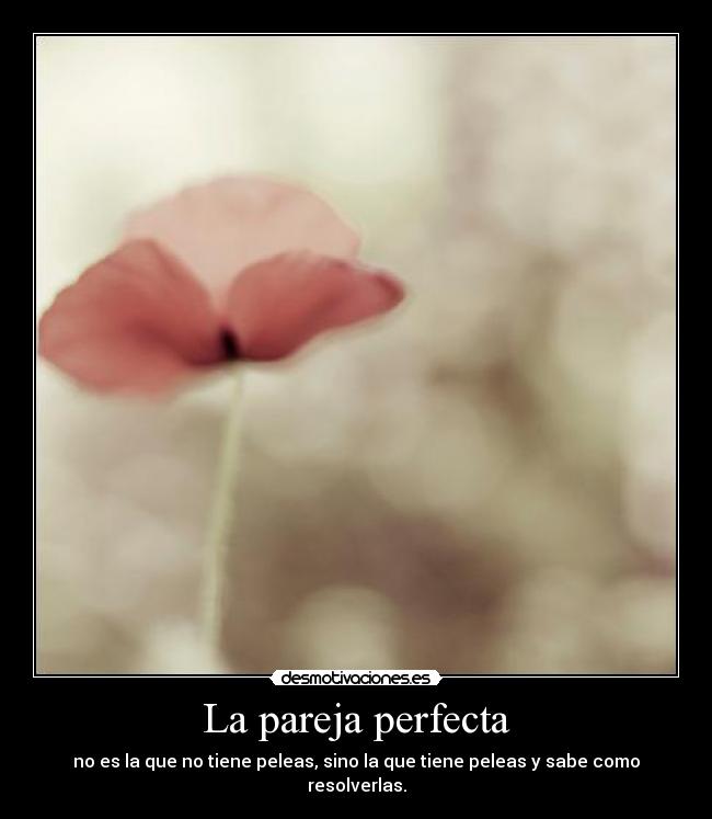 La pareja perfecta - no es la que no tiene peleas, sino la que tiene peleas y sabe como resolverlas.
