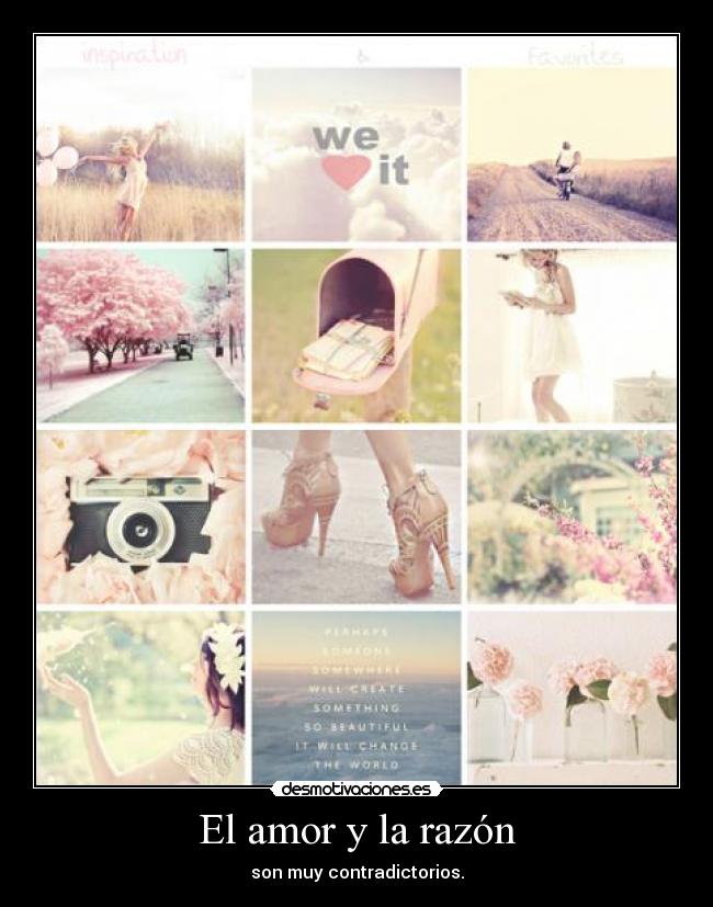 carteles amor amor razon son muy contradictorios desmotivaciones
