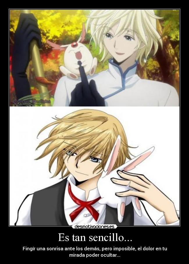 carteles desamor tristeza fay clamp amor tsubasa dolor desmotivaciones