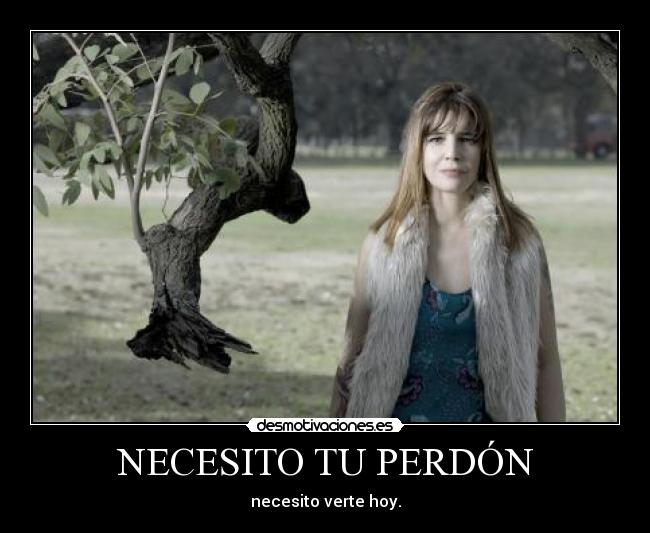 NECESITO TU PERDÓN - necesito verte hoy.