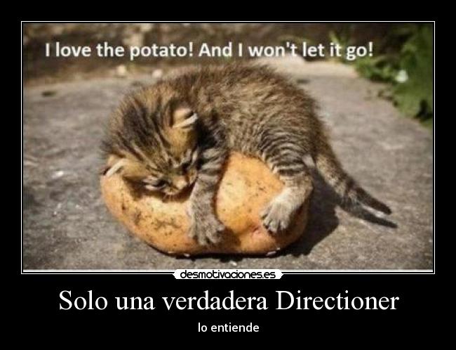 Solo una verdadera Directioner - 