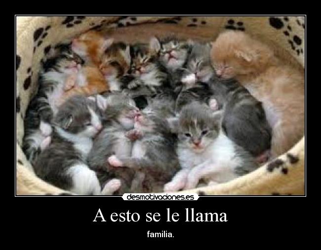 A esto se le llama -