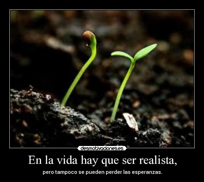 carteles vida francys zambrano desmotivaciones