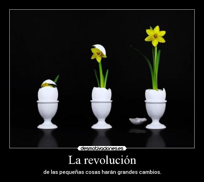 La revolución - 
