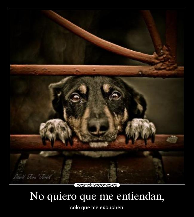 No quiero que me entiendan, - 