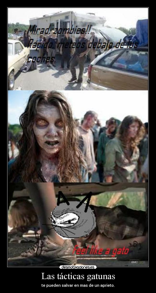 Las tácticas gatunas - te pueden salvar en mas de un aprieto.