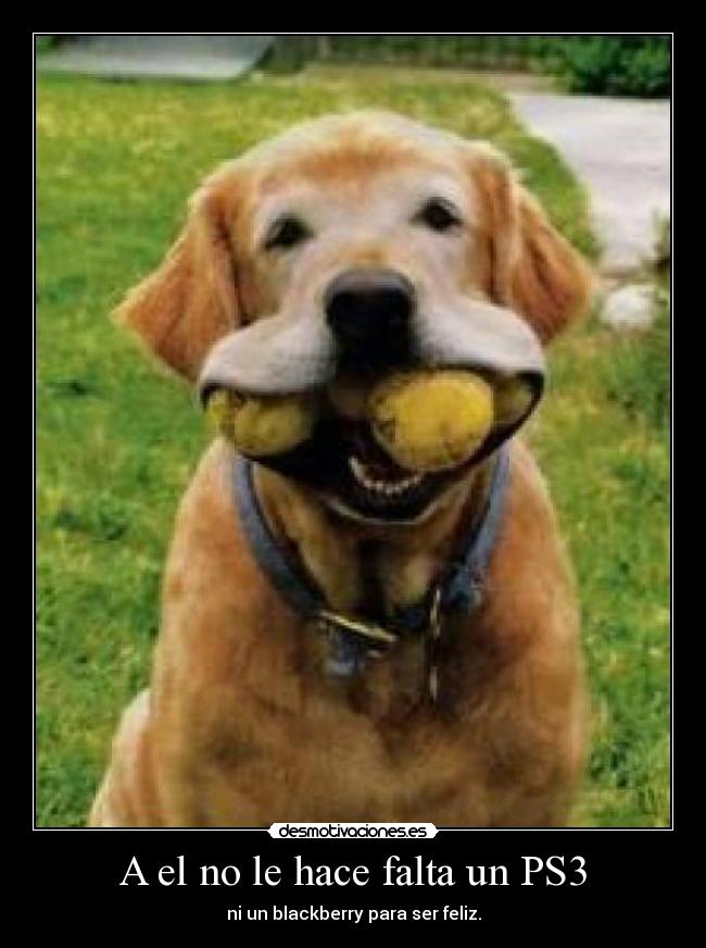 A el no le hace falta un PS3 -