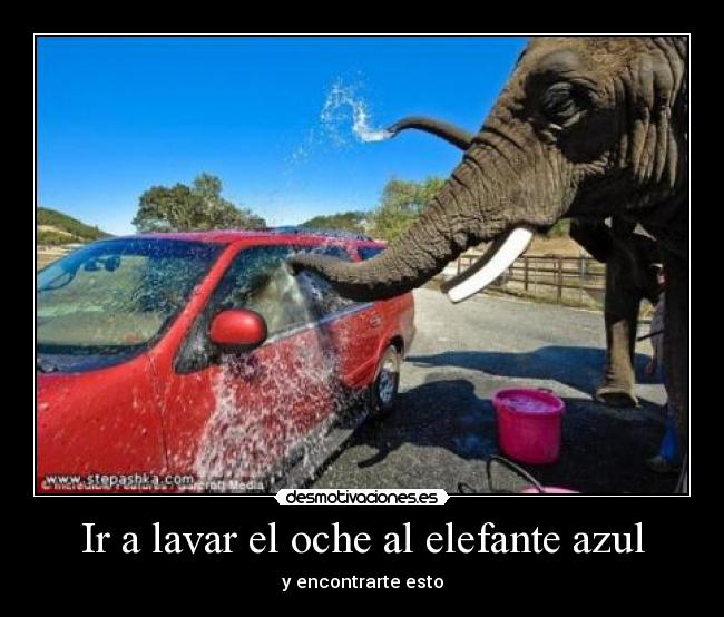 Ir a lavar el oche al elefante azul - 