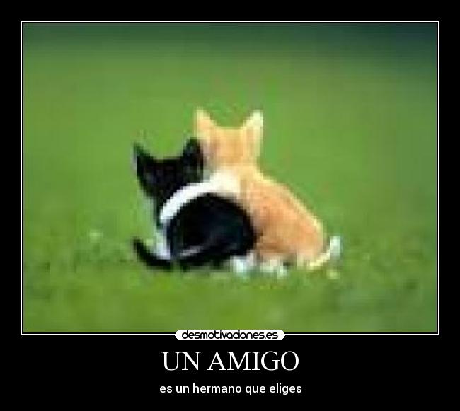 UN AMIGO -