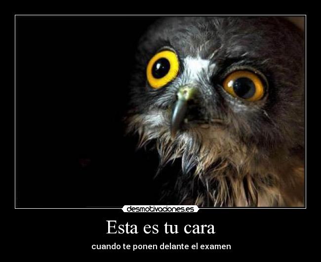 carteles humor desmotivaciones