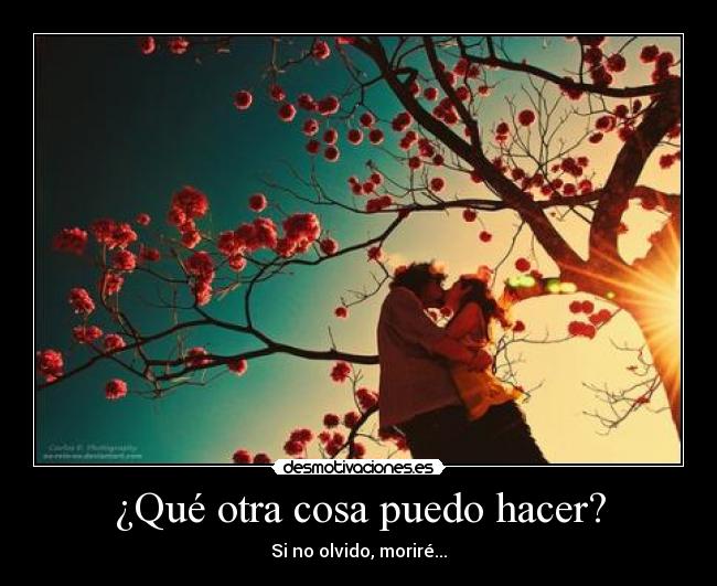 ¿Qué otra cosa puedo hacer? - Si no olvido, moriré...