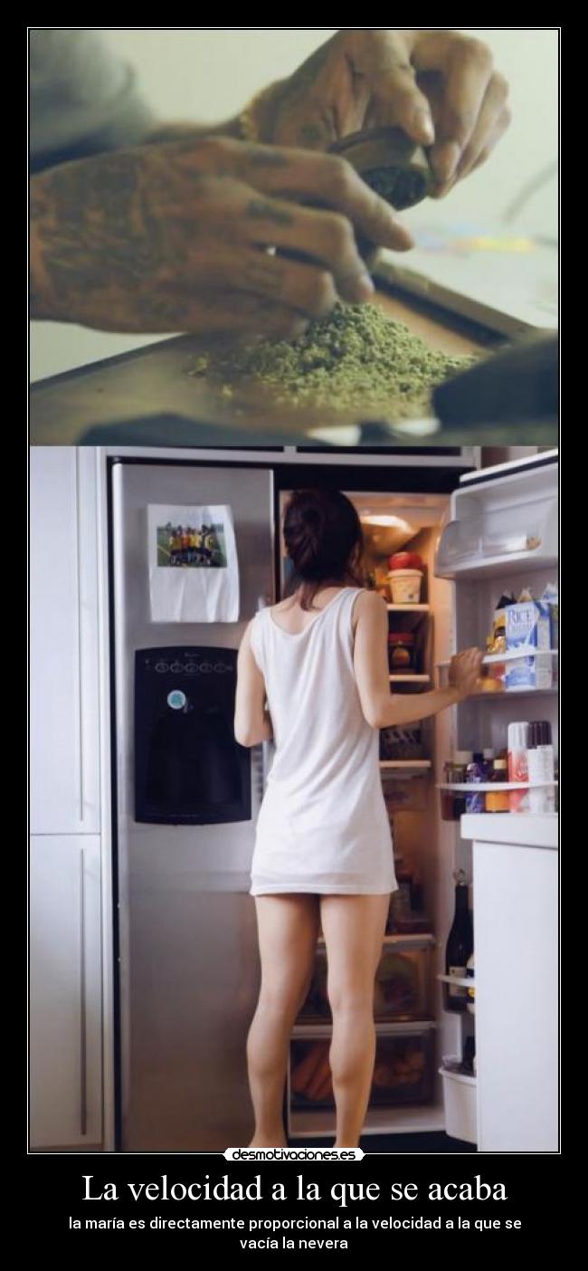 La velocidad a la que se acaba - la maría es directamente proporcional a la velocidad a la que se vacía la nevera
