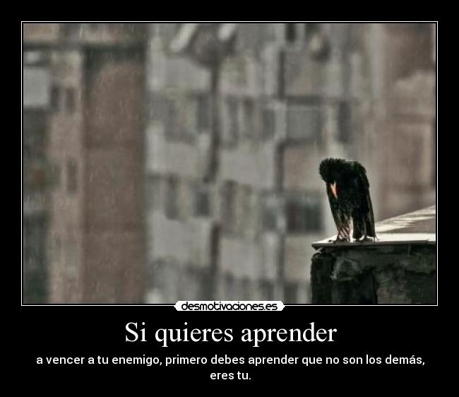 Si quieres aprender -