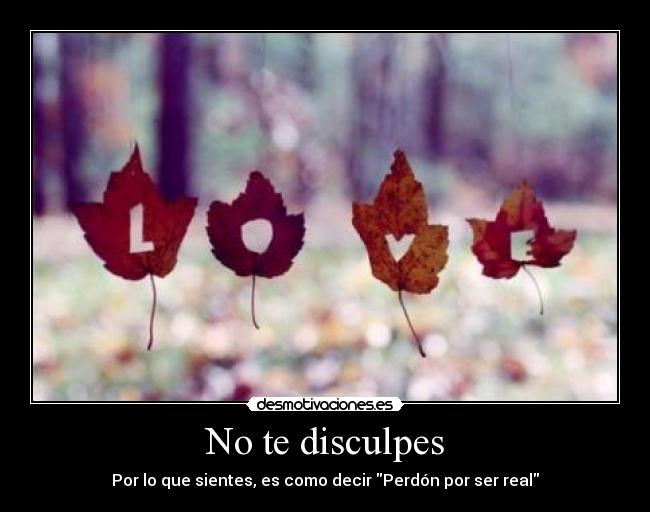 No te disculpes -