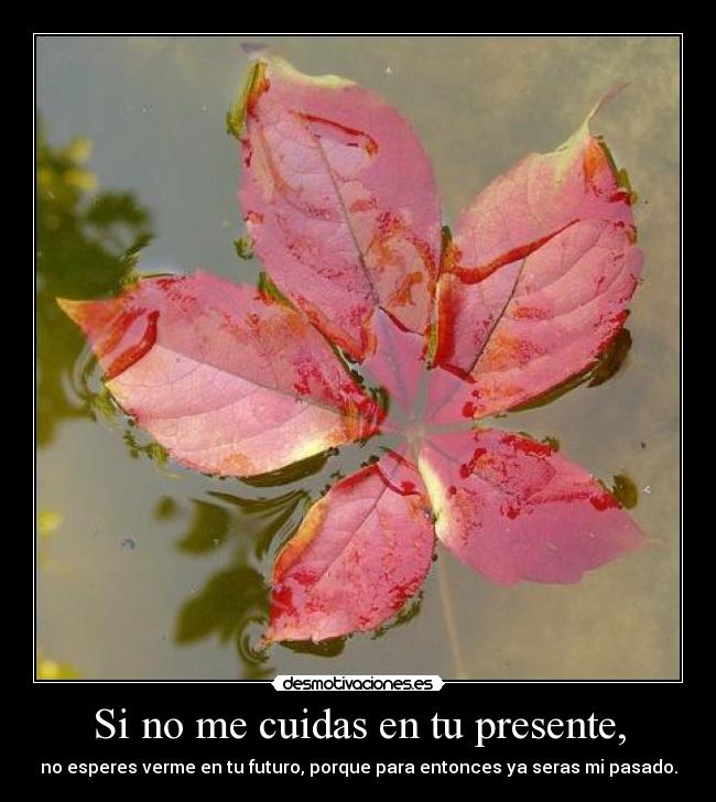Si no me cuidas en tu presente, - 