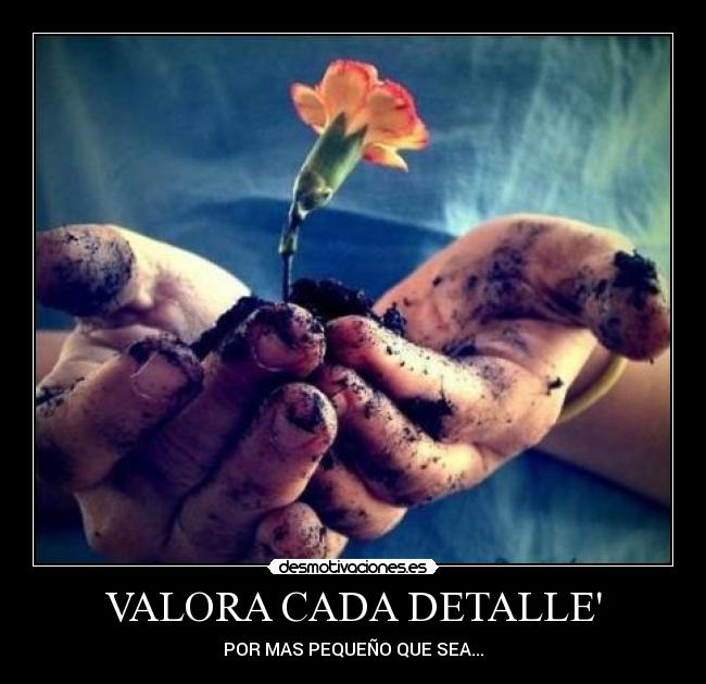 VALORA CADA DETALLE - POR MAS PEQUEÑO QUE SEA...