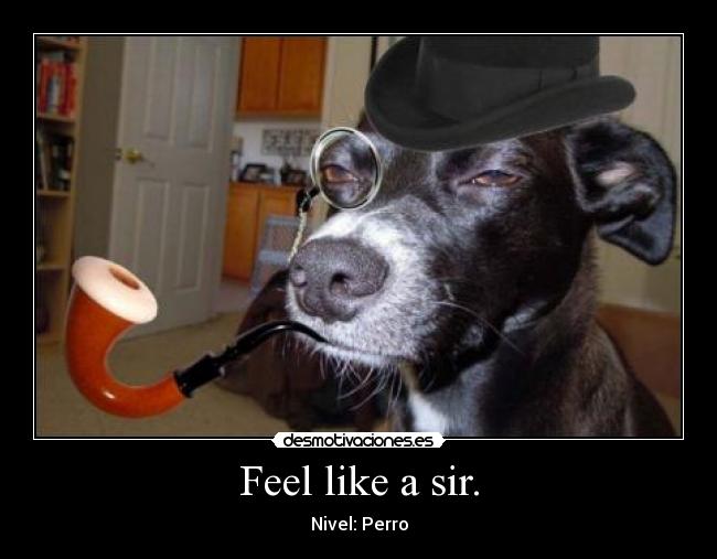 carteles humor desmotivaciones