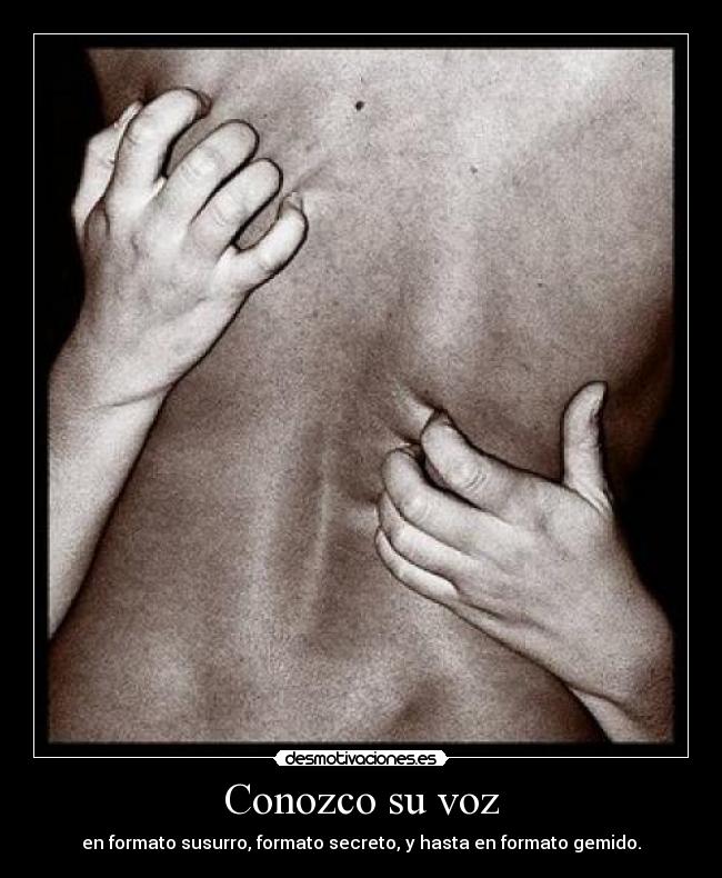 Conozco su voz - en formato susurro, formato secreto, y hasta en formato gemido.