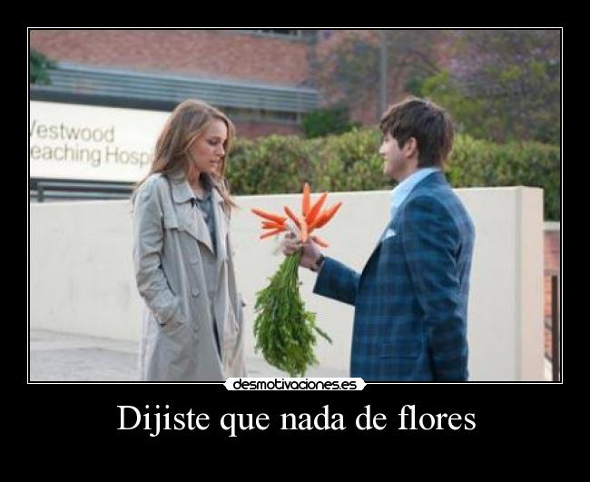 Dijiste que nada de flores - 