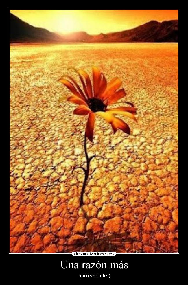 Una razón más - para ser feliz:)