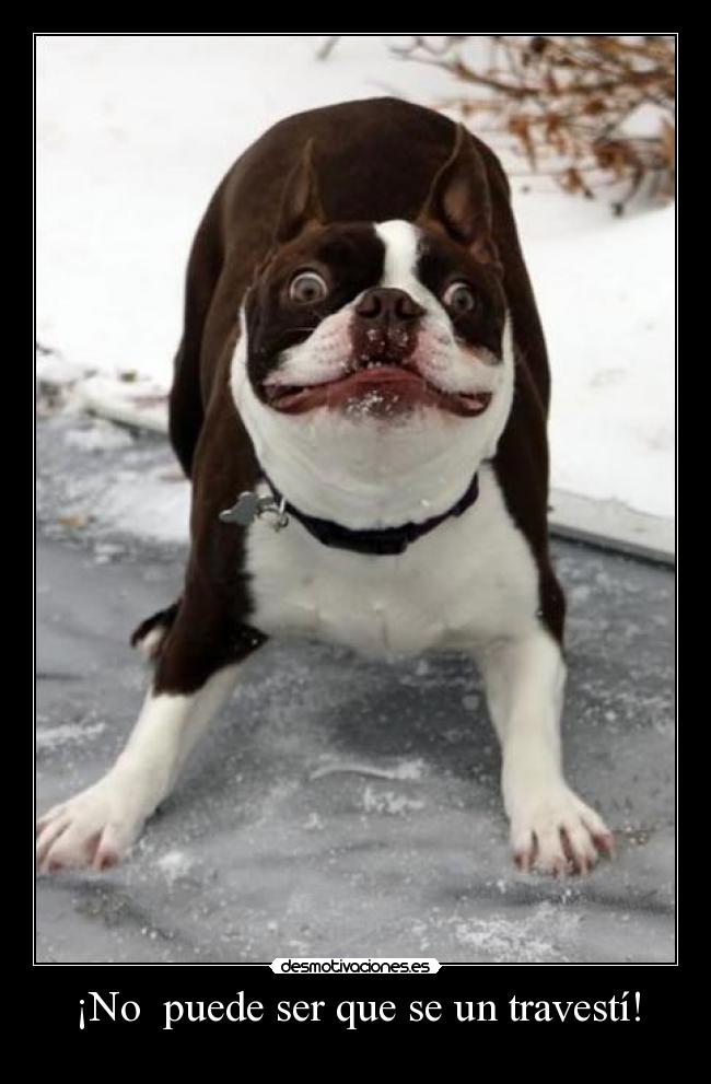 carteles vanete con ayuda forrest gumap quiero sosio desmotivaciones