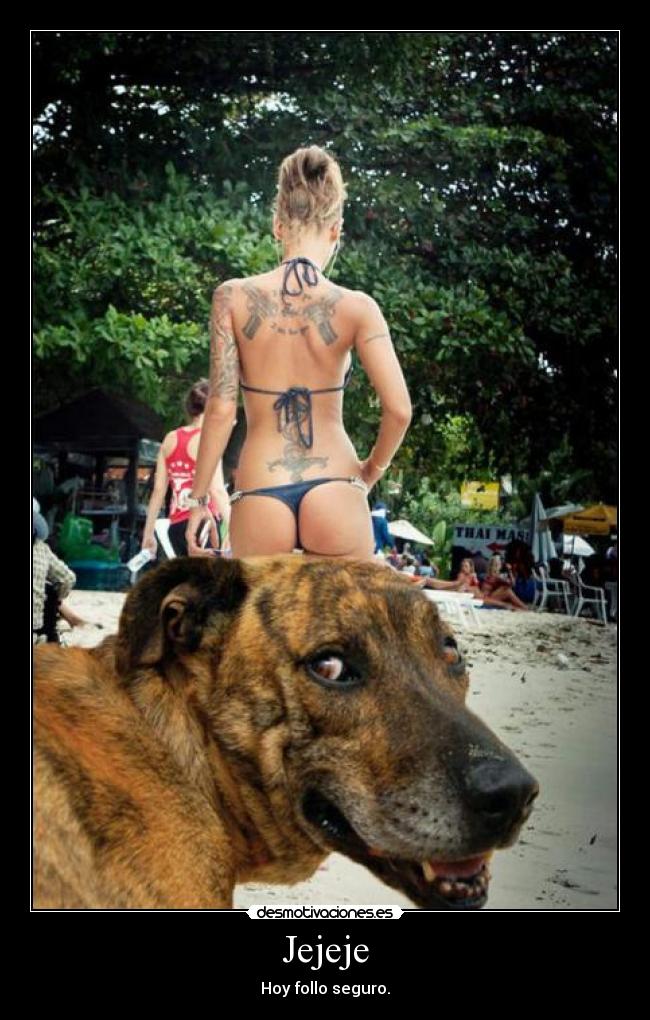 Jejeje - Hoy follo seguro.