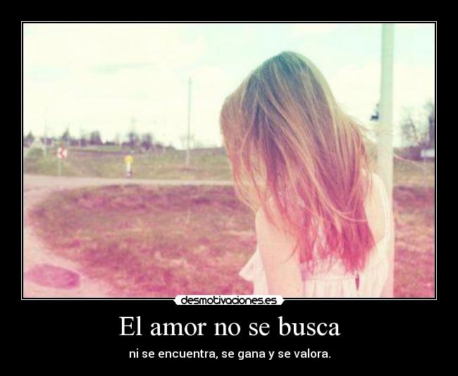 El amor no se busca -
