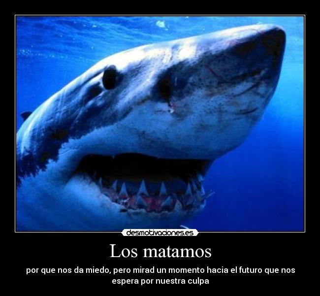 Los matamos - por que nos da miedo, pero mirad un momento hacia el futuro que nos
espera por nuestra culpa